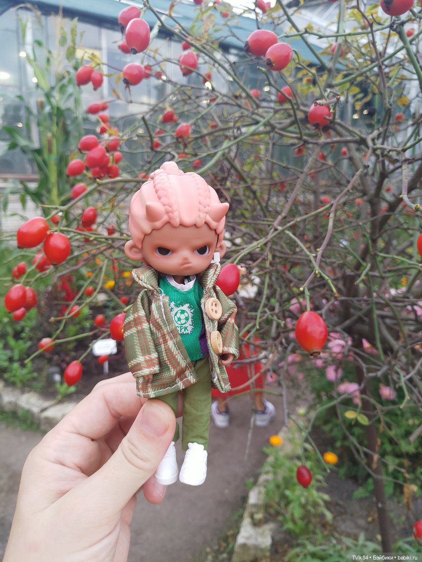 Краски осени или как чертяка в Ботанический сад ходил (фото 6)