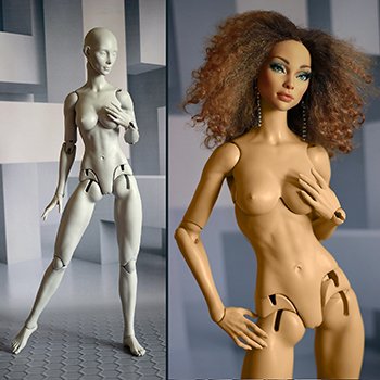 Кошка и Лиса на теле Амазонка  (размер 1/3)