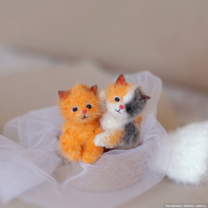 Миниатюрные кошки, Мини котенок