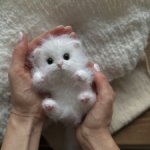 Пушистый белый котёнок