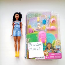 Барби Бруклин с аксессуарами