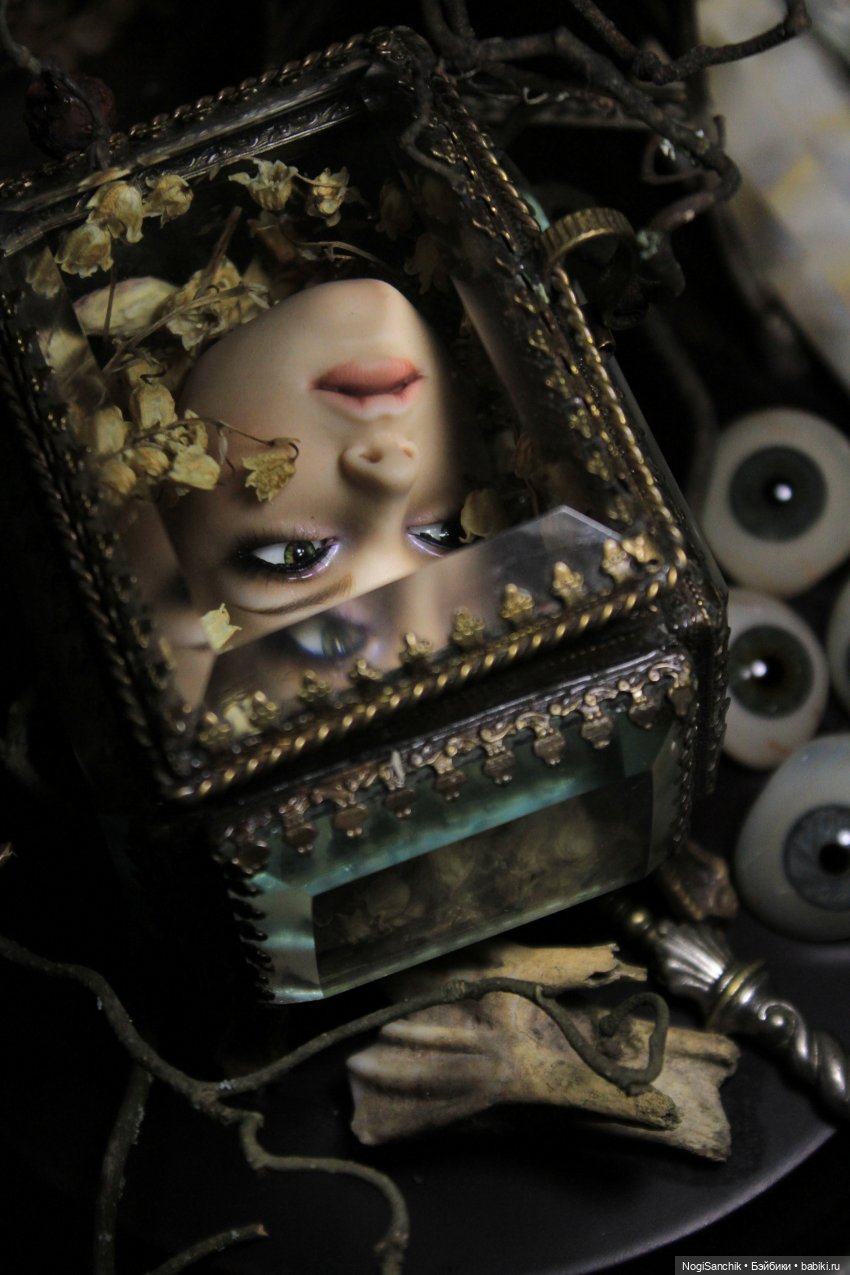 Сокровище (голова Iplehouse Raffine)