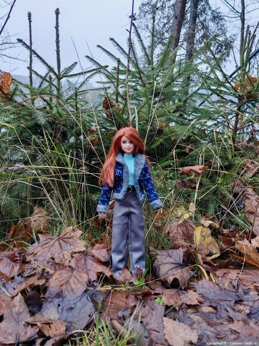 Позднеосеннее — Куклы Barbie (Барби): Looks