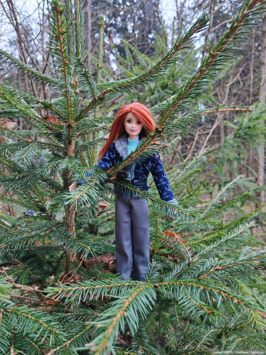 Позднеосеннее — Куклы Barbie (Барби): Looks