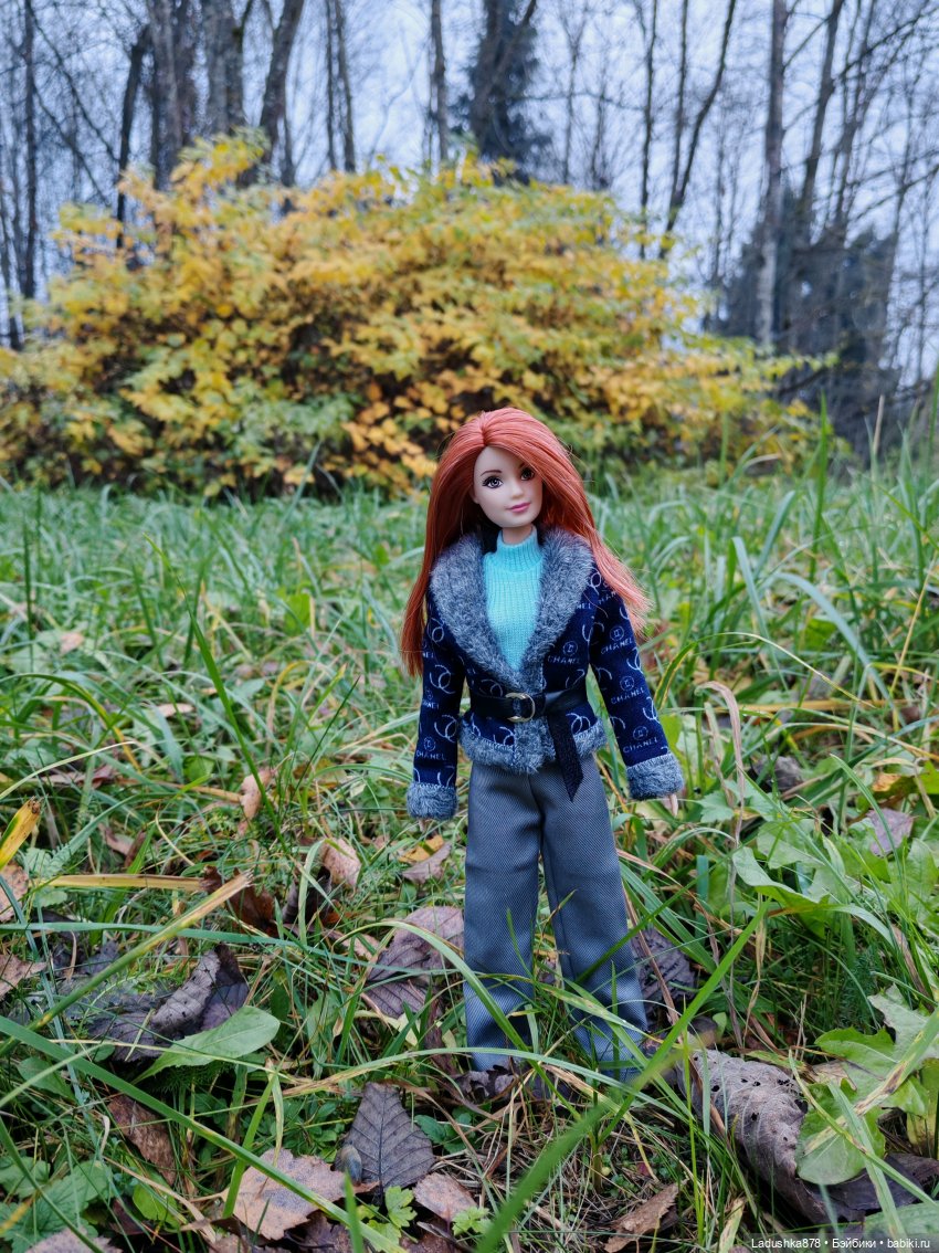 Позднеосеннее — Куклы Barbie (Барби): Looks