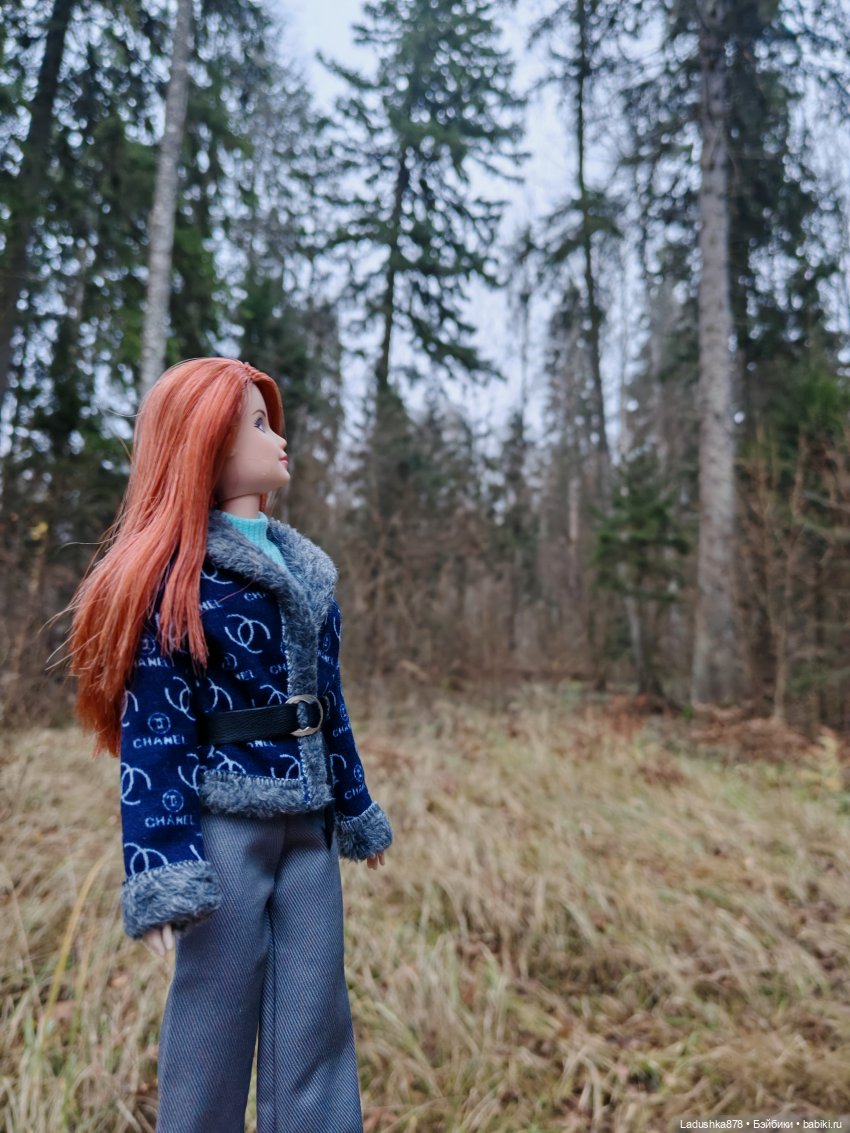 Позднеосеннее — Куклы Barbie (Барби): Looks (фото 10)