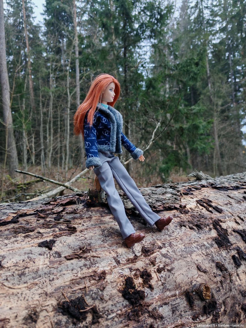Позднеосеннее — Куклы Barbie (Барби): Looks