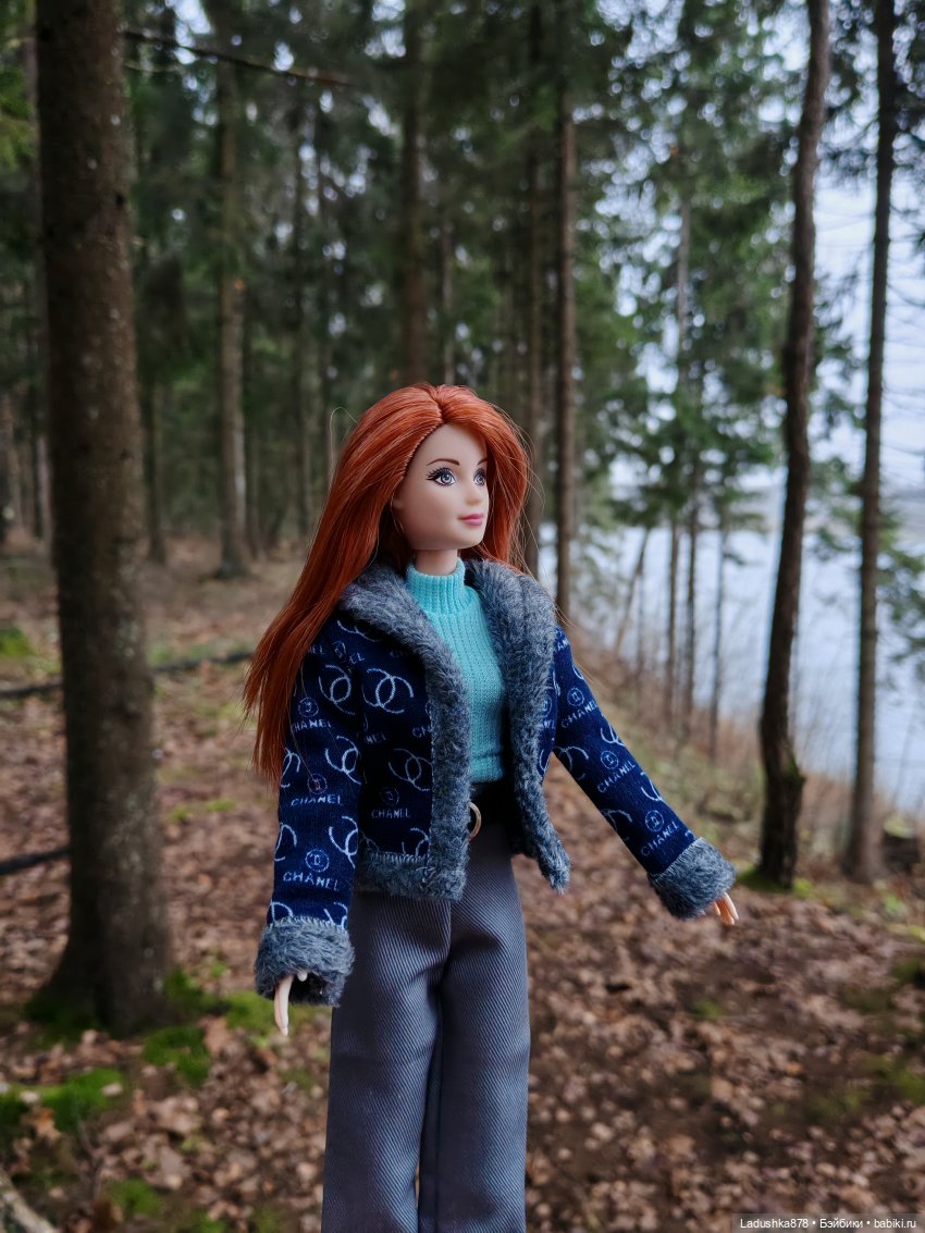 Позднеосеннее — Куклы Barbie (Барби): Looks (фото 5)