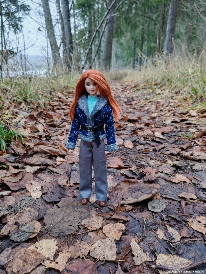 Позднеосеннее — Куклы Barbie (Барби): Looks (фото 3)