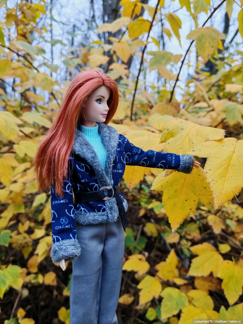 Позднеосеннее — Куклы Barbie (Барби): Looks