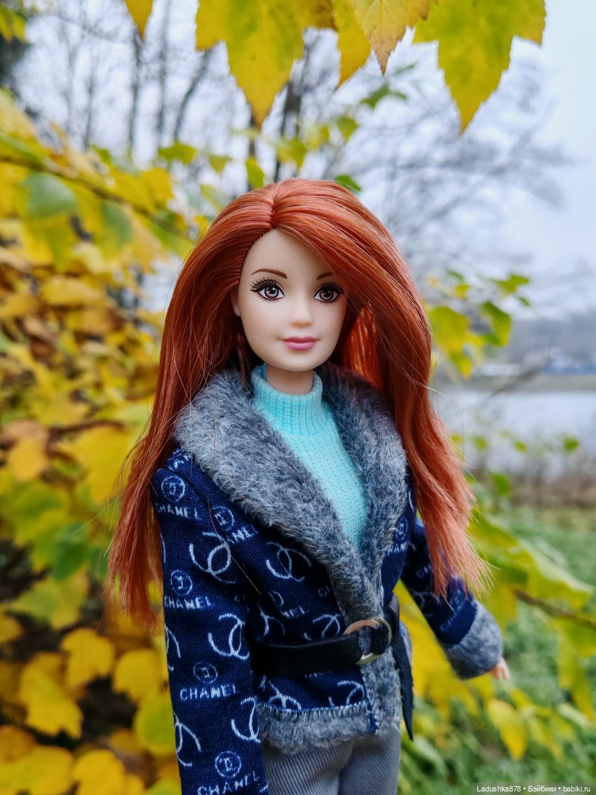 Позднеосеннее — Куклы Barbie (Барби): Looks