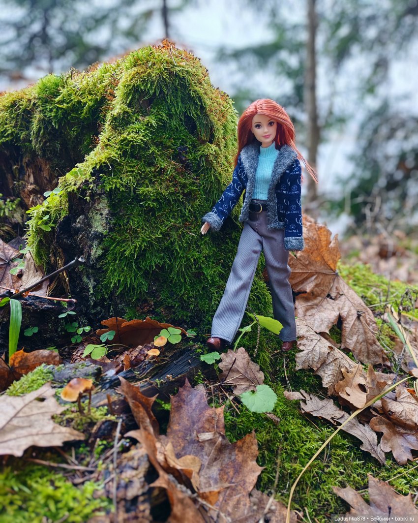 Позднеосеннее — Куклы Barbie (Барби): Looks