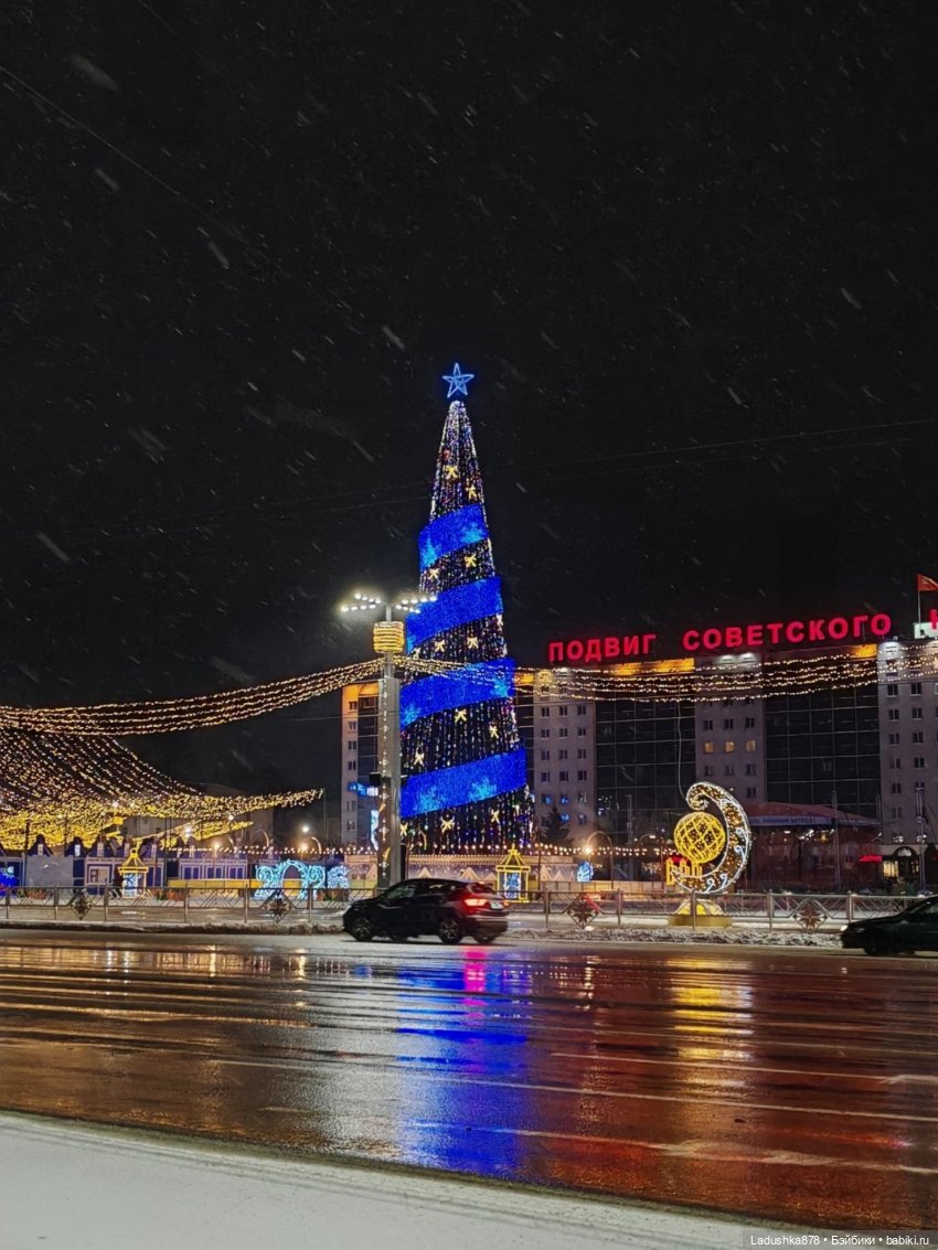 Парад Дедов Морозов и Снегурочек (фото 3)