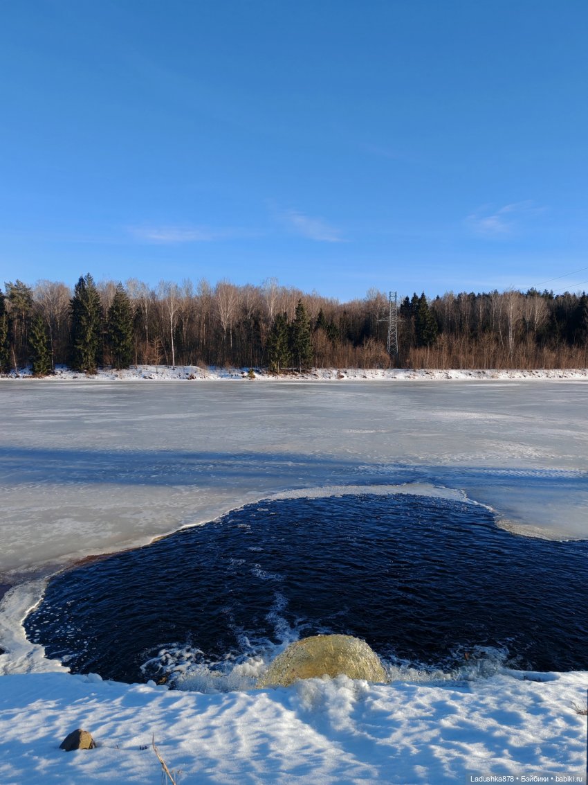 Виолетта в поисках весны — Куклы Barbie (Барби): Looks (фото 2)