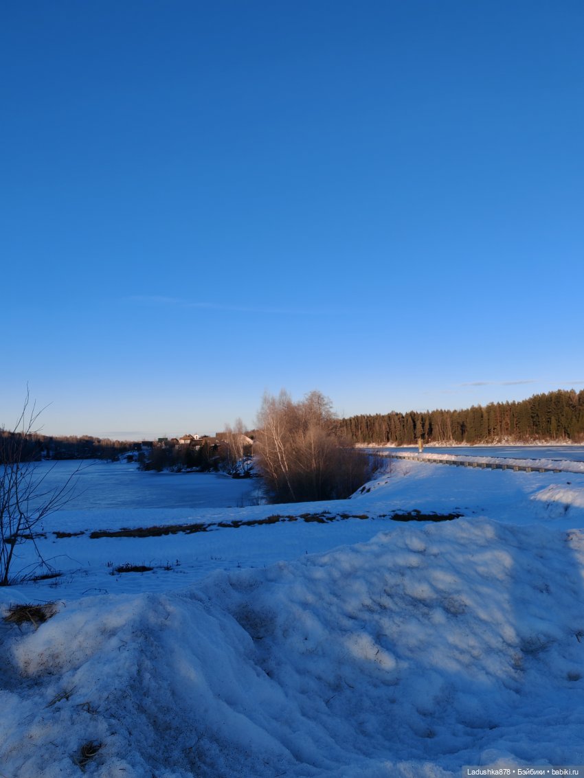 Виолетта в поисках весны — Куклы Barbie (Барби): Looks