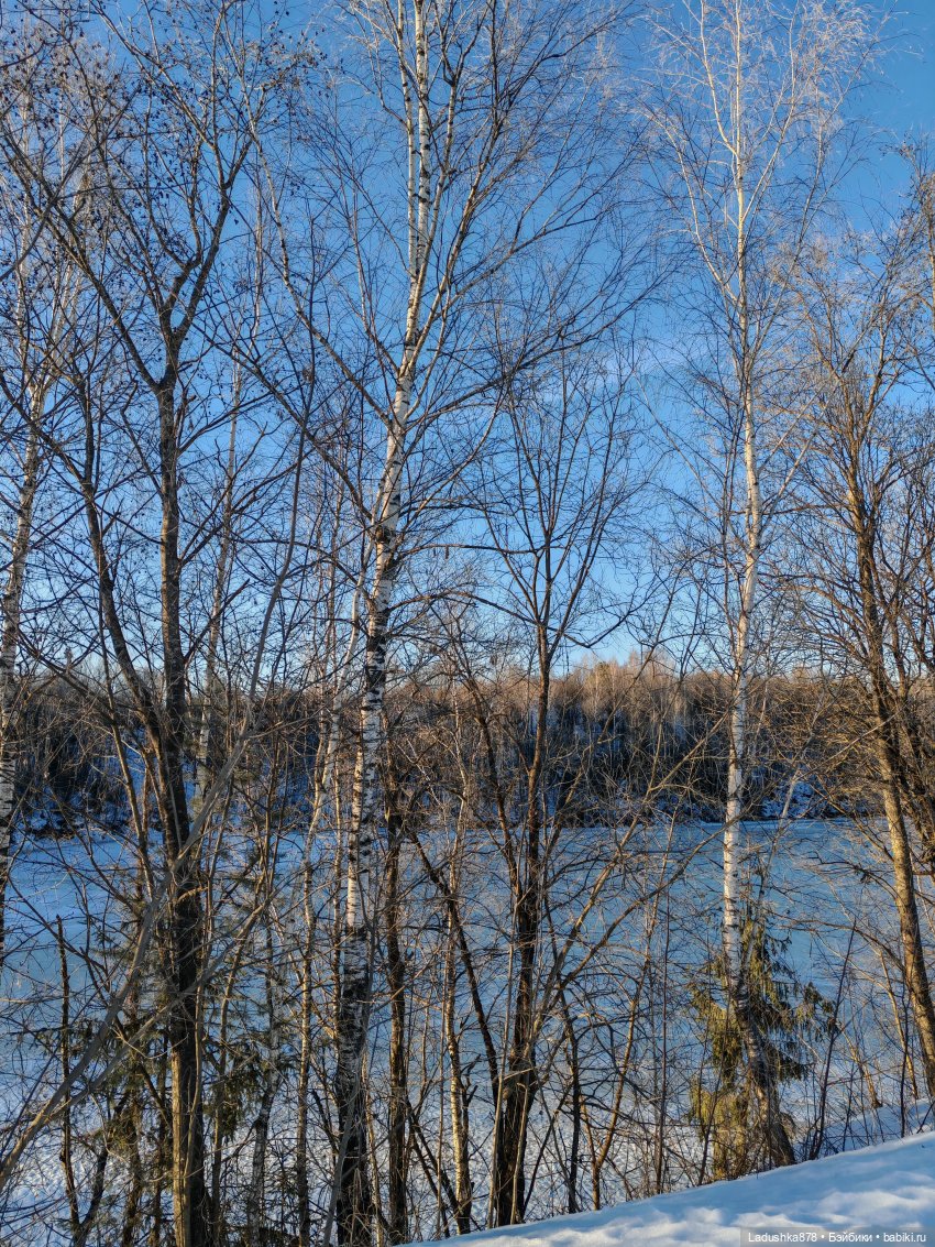 Виолетта в поисках весны — Куклы Barbie (Барби): Looks (фото 4)