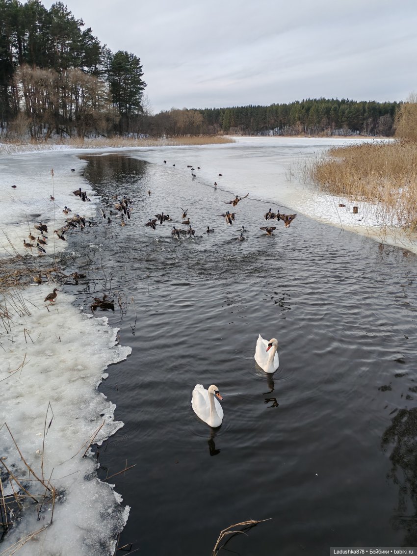 Блондинки и снег — Куклы Barbie (Барби): Looks (фото 3)