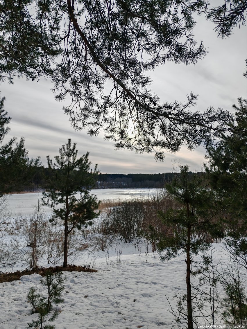 Блондинки и снег — Куклы Barbie (Барби): Looks