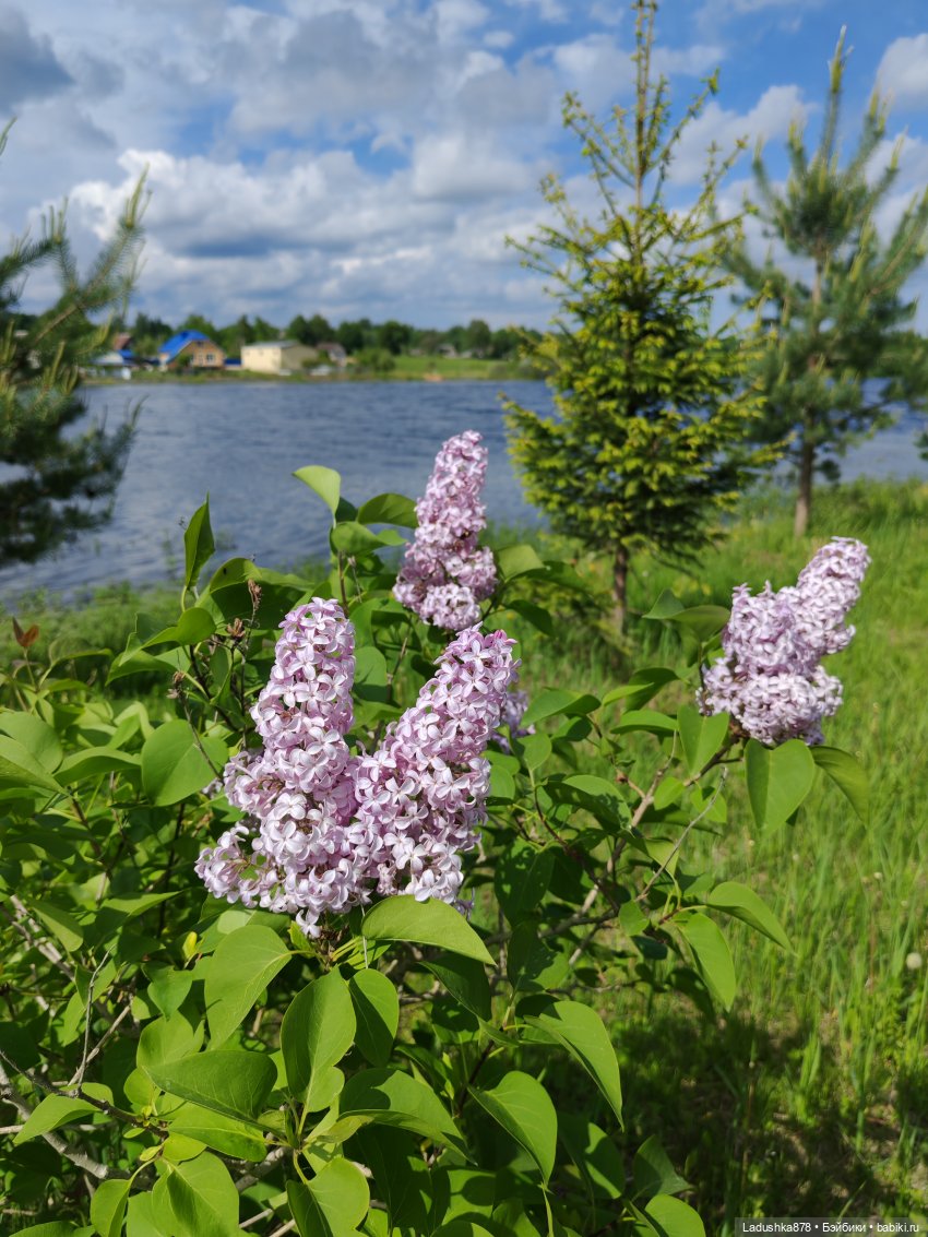 Не по сезону топик)) — Куклы Барби (фото 2)