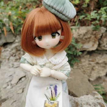 Tinyfox лиса Кетту