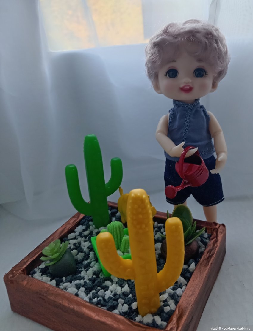 Суккулентный садик | Бэйбики Суккулентный садик — Болталка и разговоры обо всем: жизнь