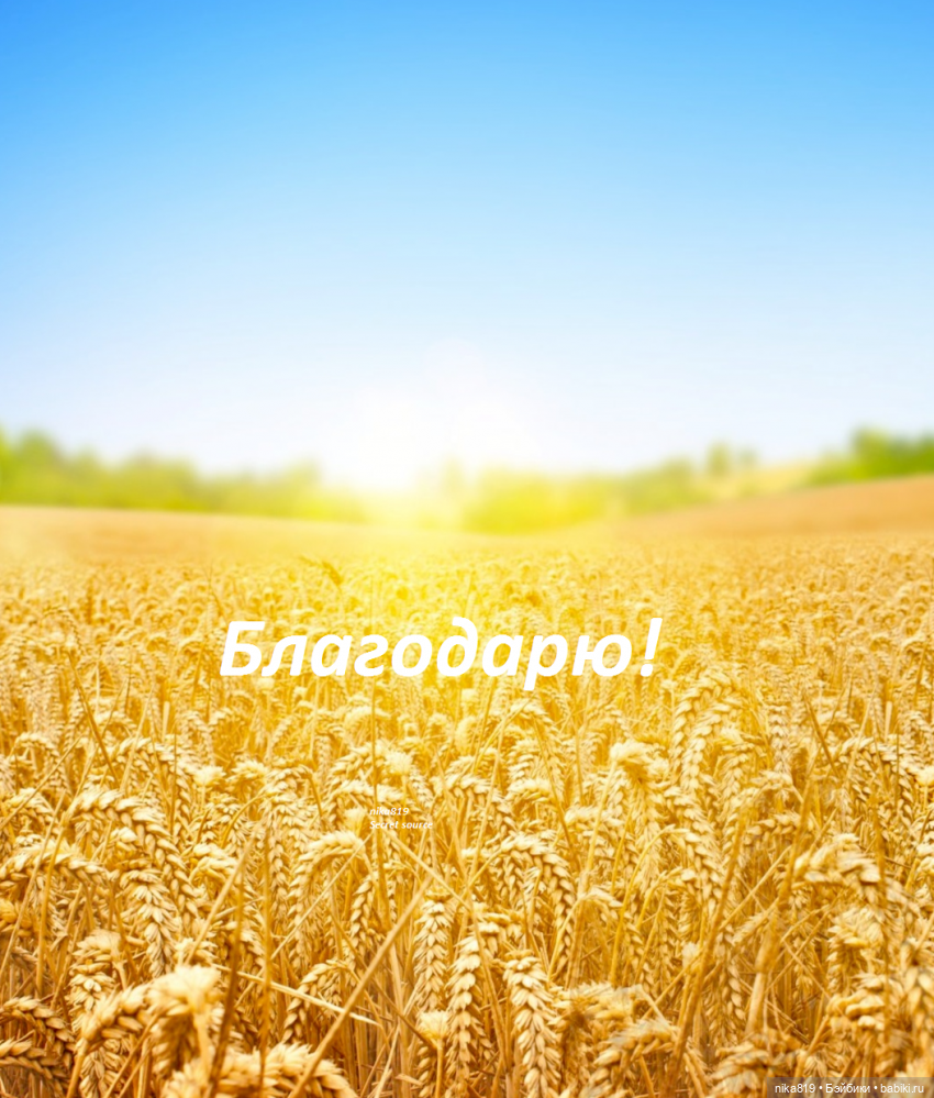 Стул из натурального дерева