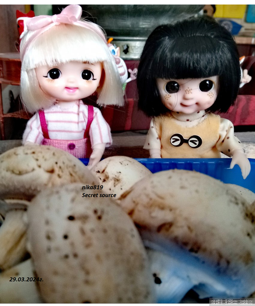 Шампиньоны