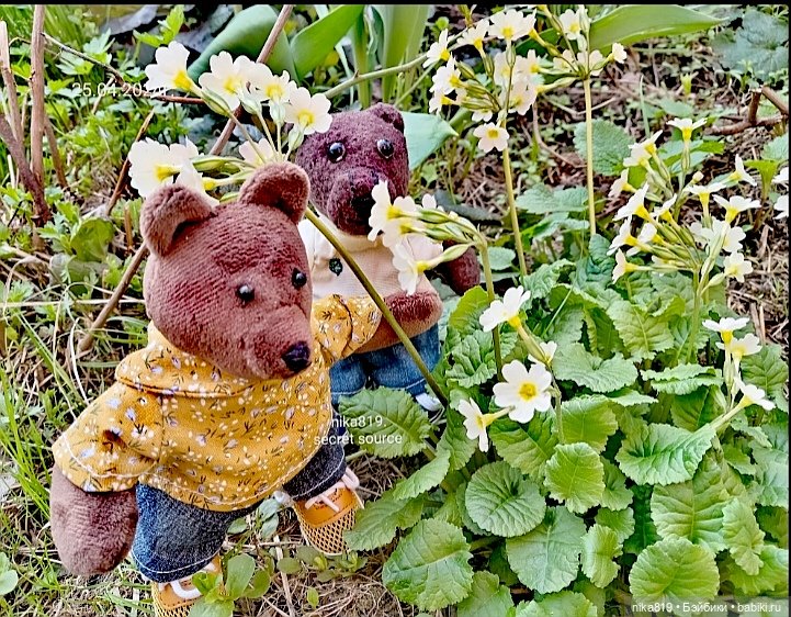 Топтыжка и Михась