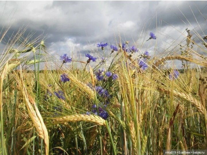 Моя доярушка — Советские винтажные куклы (СССР): Ленигрушка (фото 4)