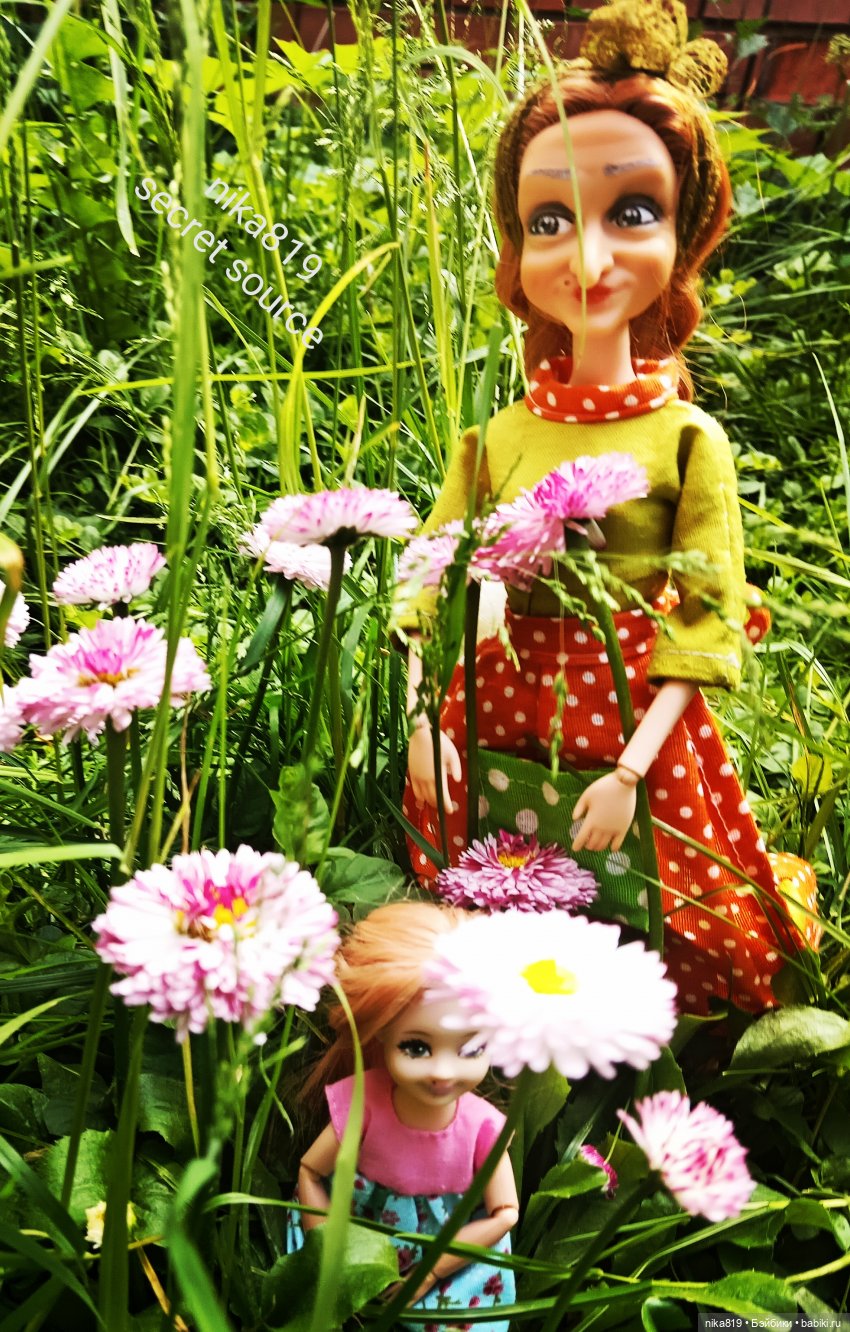 Маргаритки