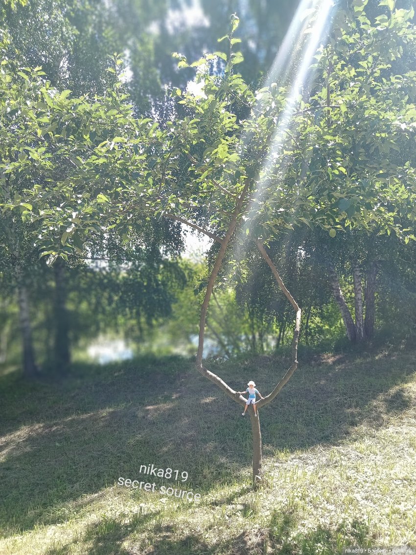 Дачные зарисовки от Кощея