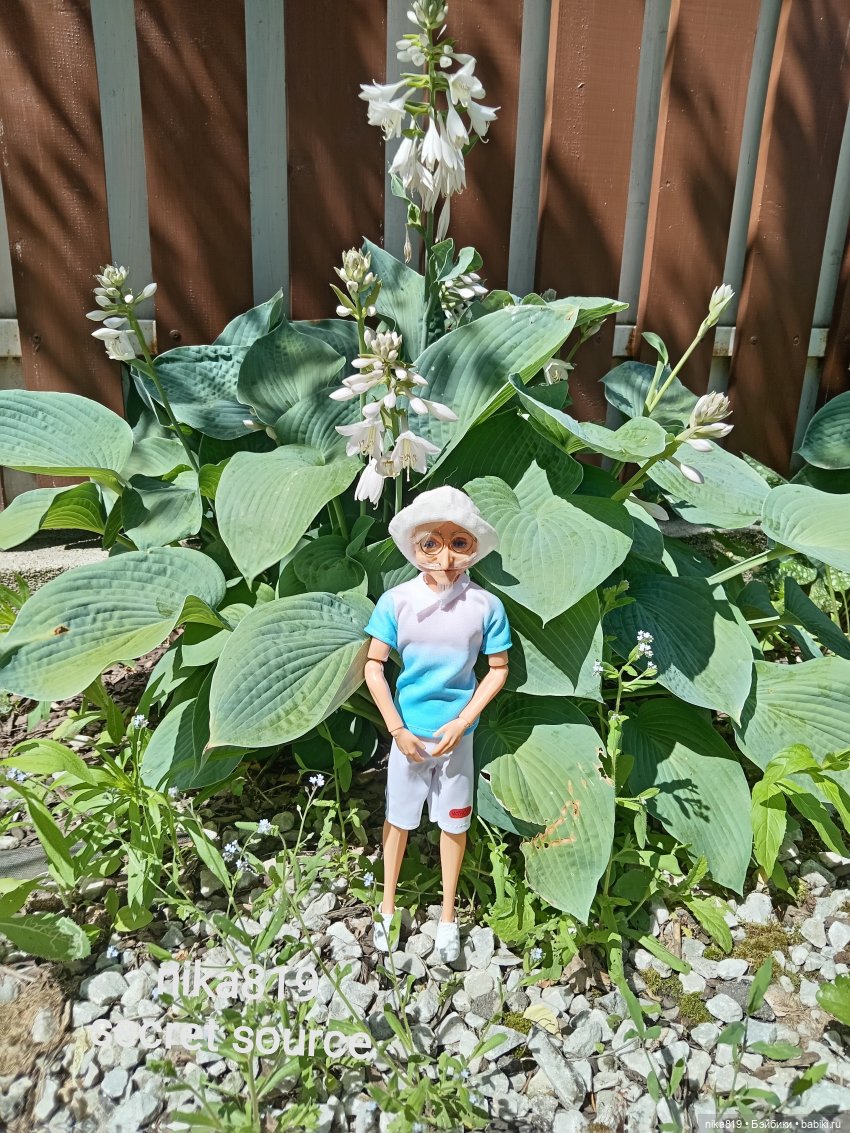 Дачные зарисовки от Кощея (фото 3)