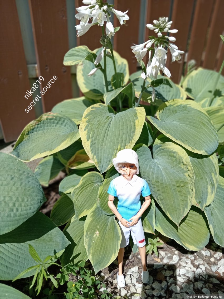 Дачные зарисовки от Кощея (фото 7)