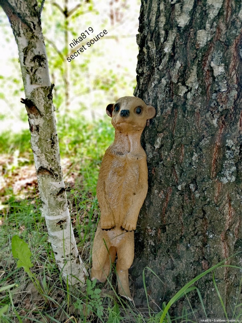 Дачные зарисовки от Кощея