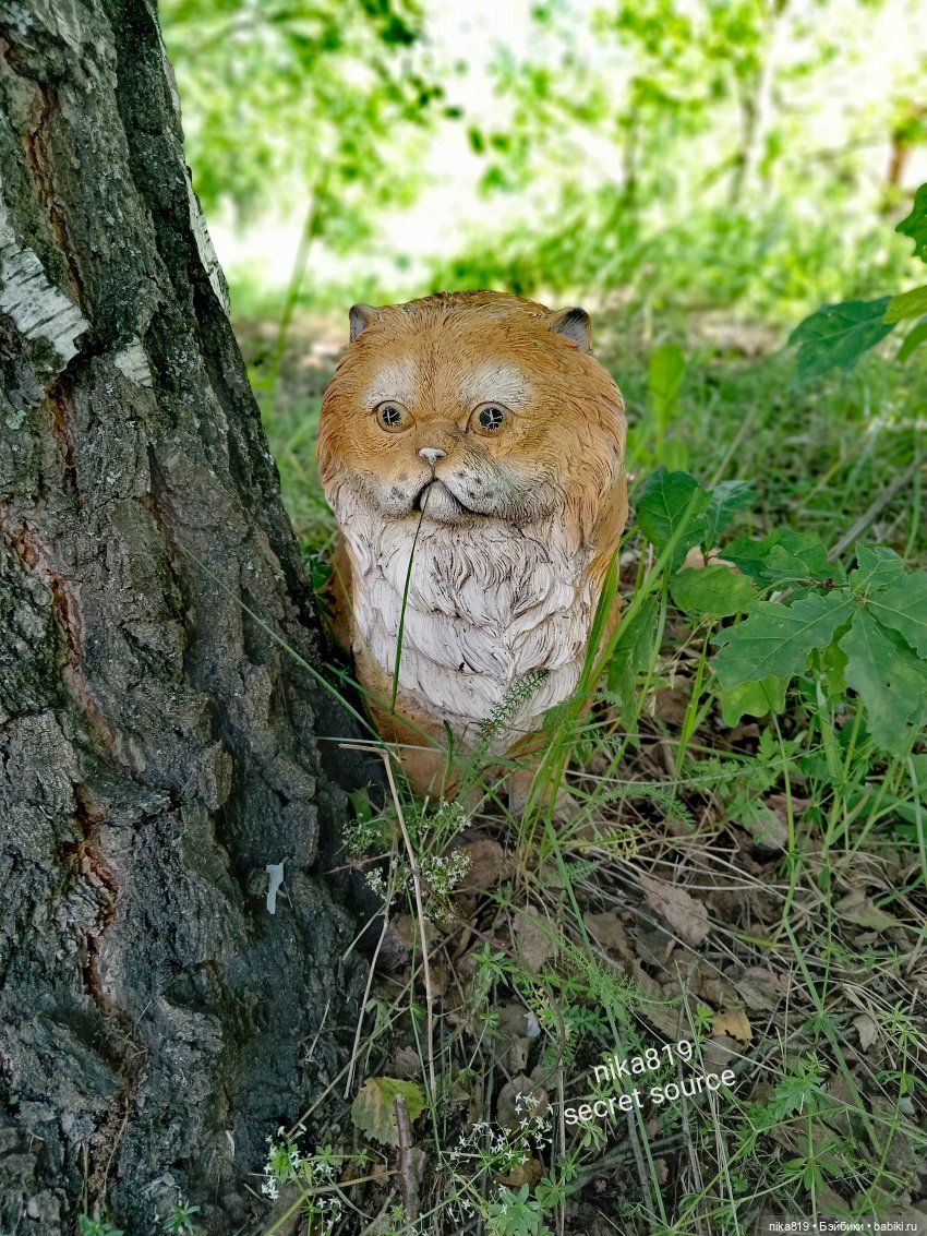 Дачные зарисовки от Кощея