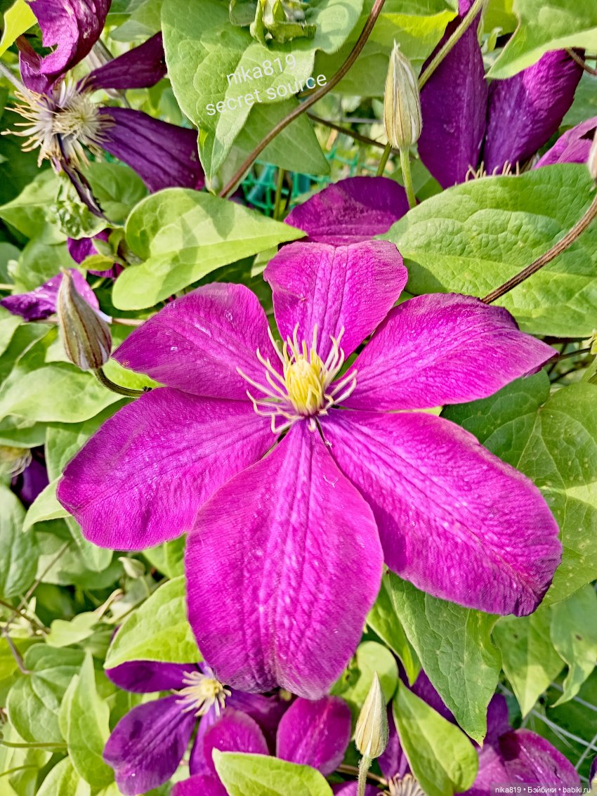 Новенький косюмчик — Куклы Barbie (Барби): Looks (фото 2)