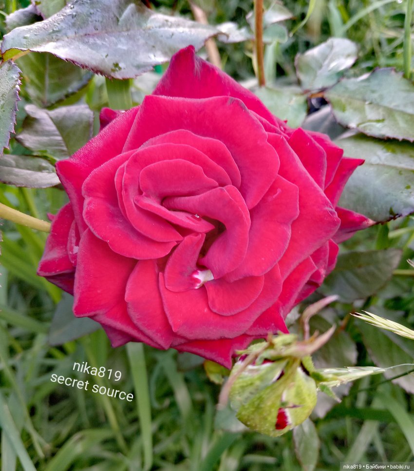 Новенький косюмчик — Куклы Barbie (Барби): Looks