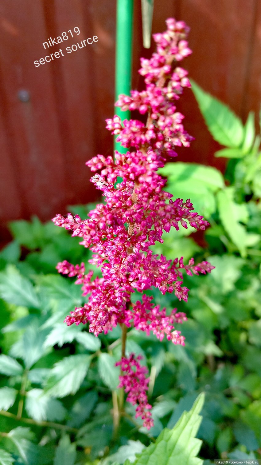 Новенький косюмчик — Куклы Barbie (Барби): Looks (фото 8)