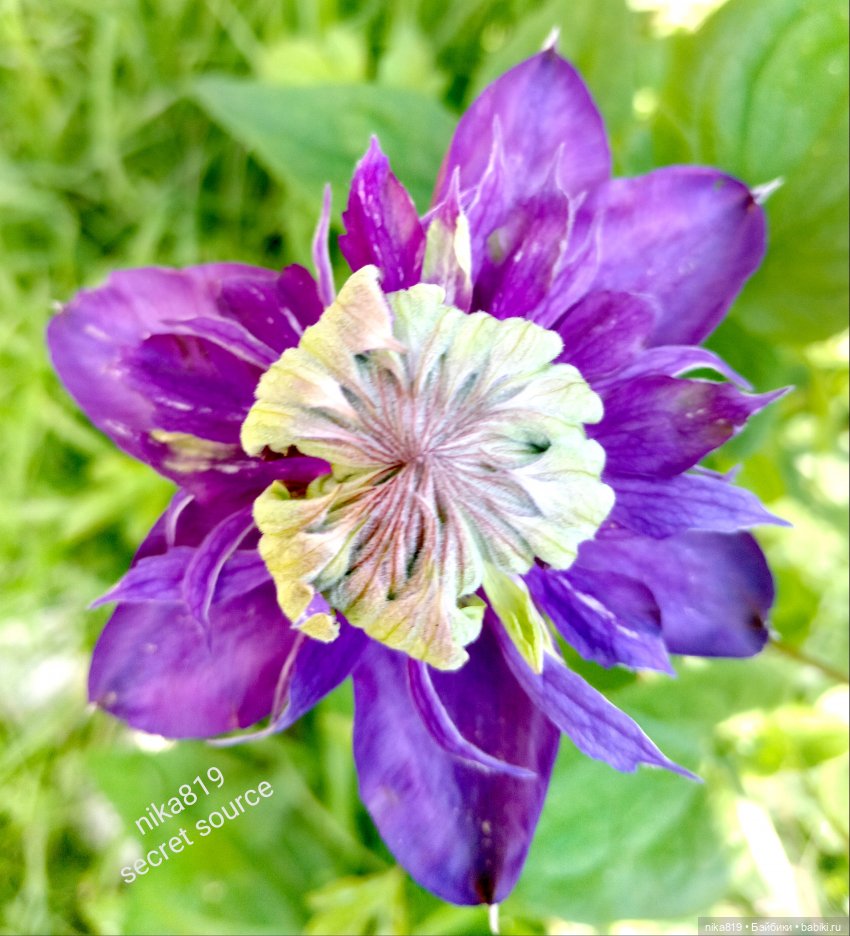 Новенький косюмчик — Куклы Barbie (Барби): Looks (фото 9)