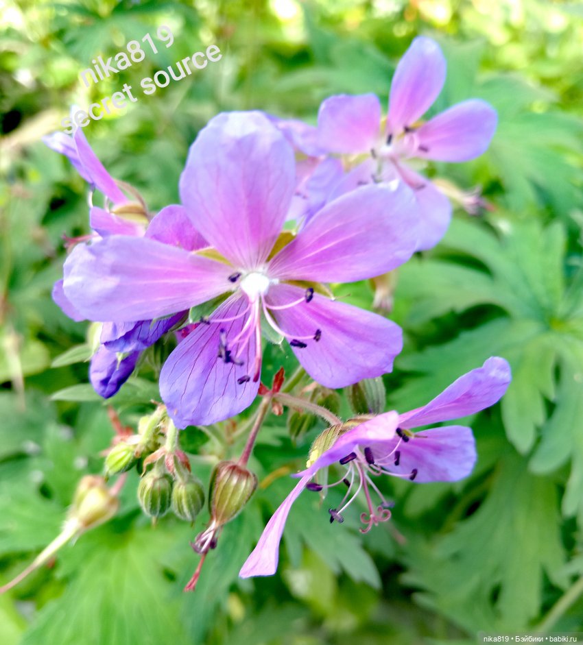 Новенький косюмчик — Куклы Barbie (Барби): Looks (фото 10)