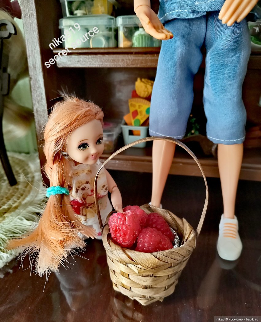 Коша:Малина для Внучки — Аналоги Барби и куклы 1/6: клоны 90 (фото 3)