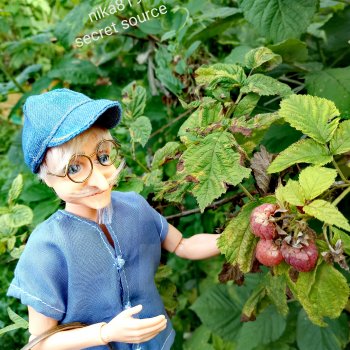 Коша:Малина для Внучки