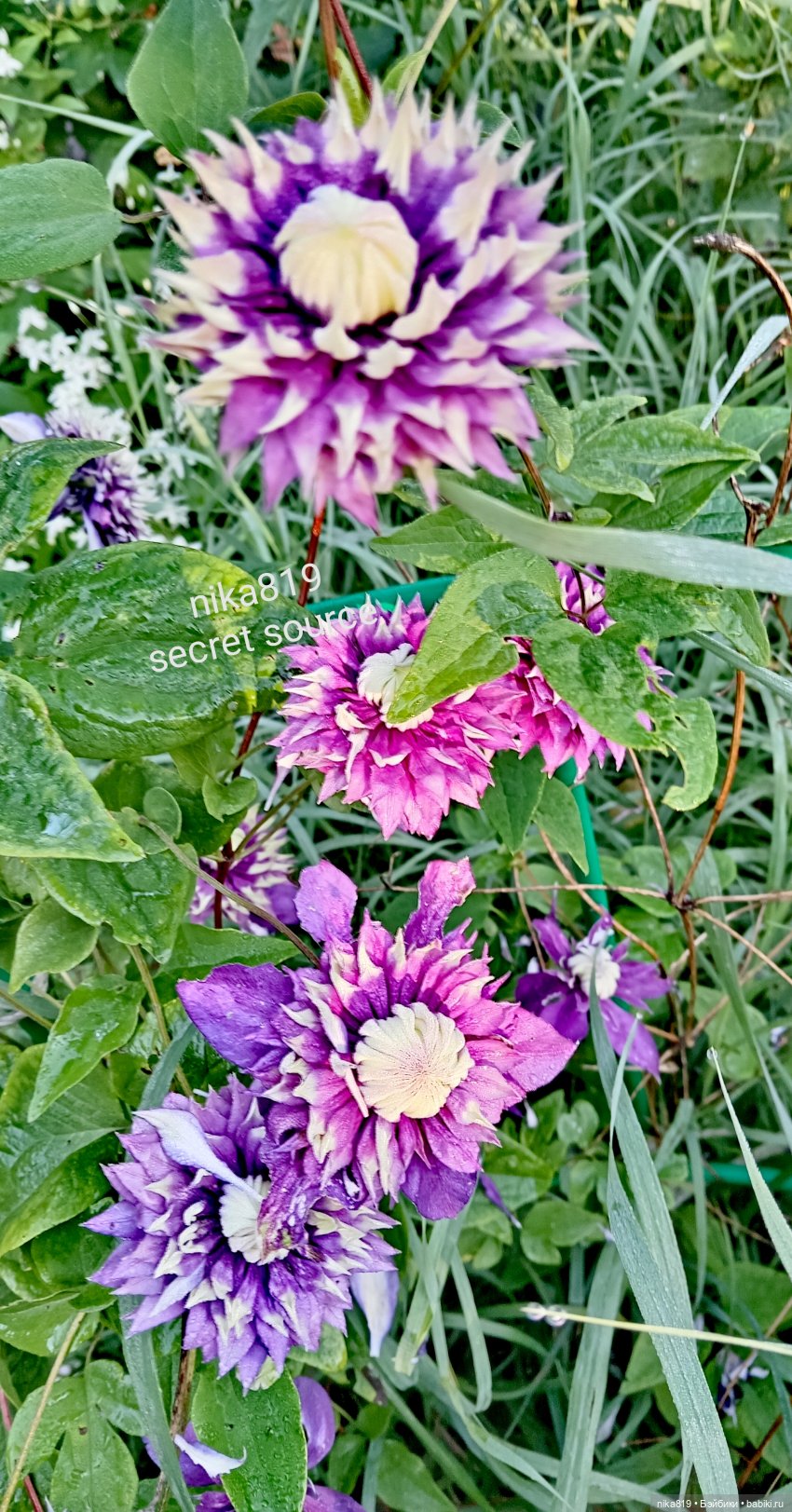 Мужичок с гармошкой — Аналоги Барби и куклы 1/6: клоны 90 (фото 8)