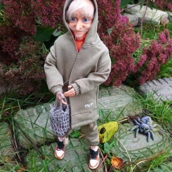 Мы из сказки :Удивительные пауки