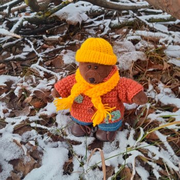 Топтыжка на прогулке