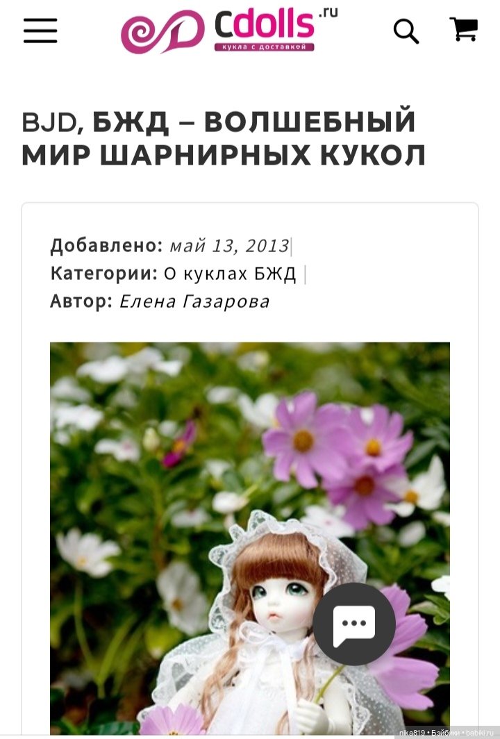 Бжд