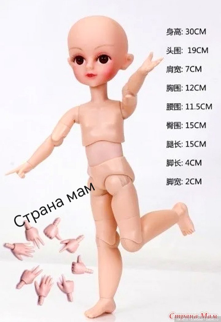 Дорис