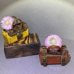 Саквояжики, рюкзачки  и сумочки