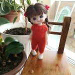 Шарнирная куколка