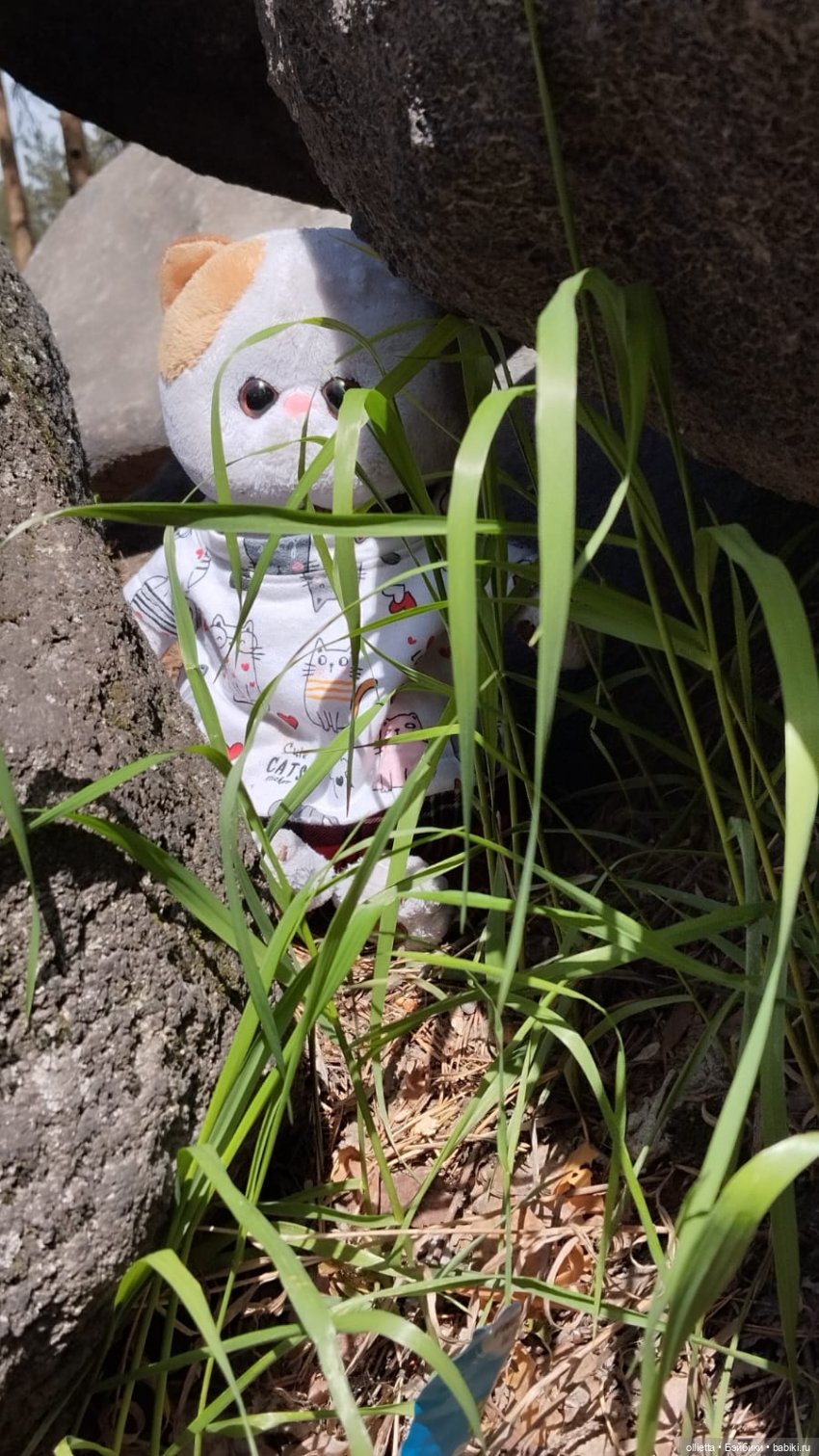 С Муськой на Каменные палатки (фото 4)